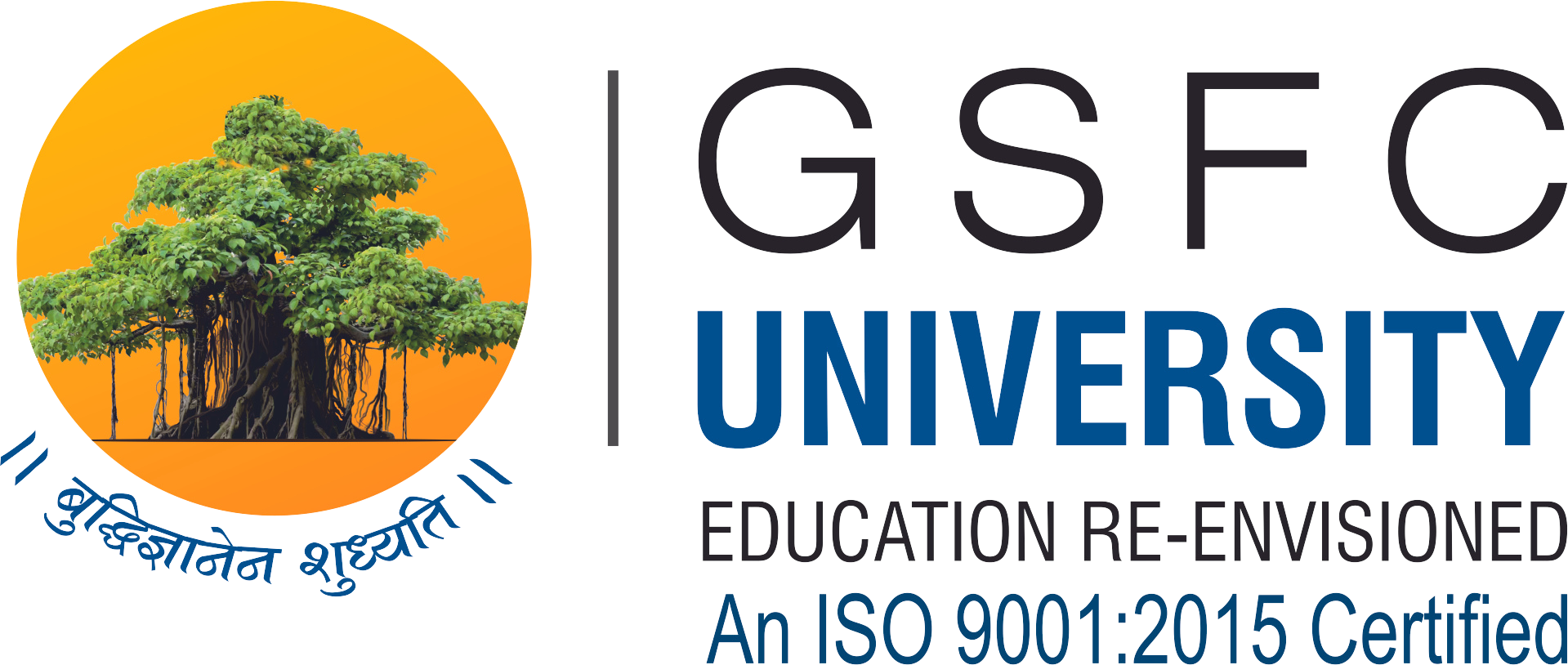 Institutional Partner