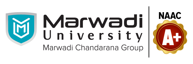 Institutional Partner